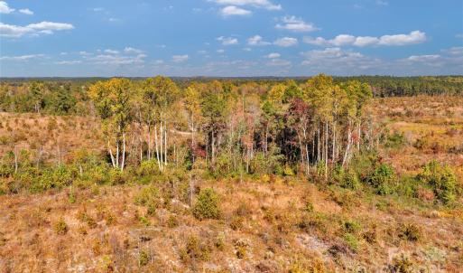 Photo #6 of Riley, Chesterfield, SC