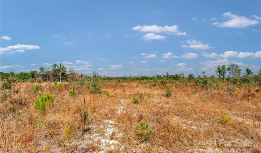 Photo #11 of Riley, Chesterfield, SC