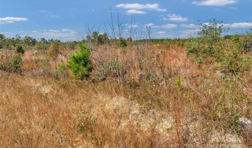 Photo #17 of Riley, Chesterfield, SC