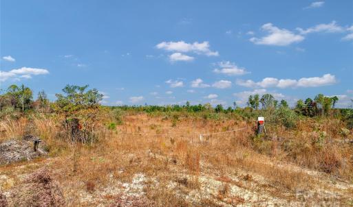 Photo #9 of Riley, Chesterfield, SC