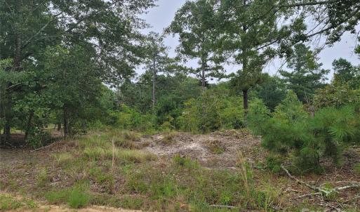 Photo #2 of Windblow, Jackson Springs, NC