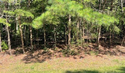 Photo #1 of Whisper Lake, New London, NC