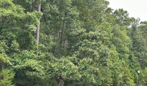 Photo #2 of 288 Emerald Isle, Lexington, NC