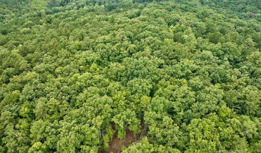 Photo #7 of 4165 US Highway 21, Ridgeway, SC