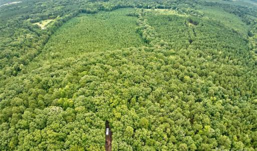 Photo #19 of 4165 US Highway 21, Ridgeway, SC