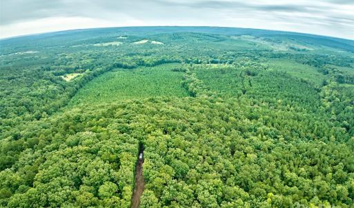 Photo #22 of 4165 US Highway 21, Ridgeway, SC