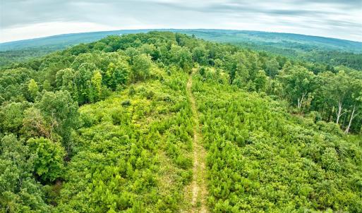Photo #17 of 4165 US Highway 21, Ridgeway, SC