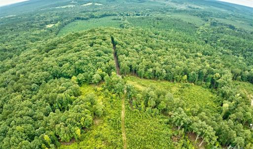 Photo #18 of 4165 US Highway 21, Ridgeway, SC