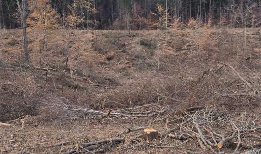 Photo #3 of TBD Wildwood, Salisbury, NC