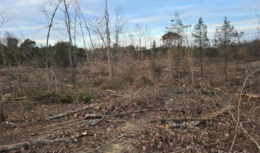 Photo #11 of TBD Wildwood, Salisbury, NC