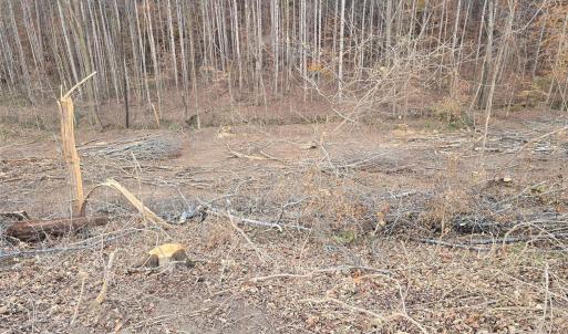 Photo #6 of TBD Wildwood, Salisbury, NC