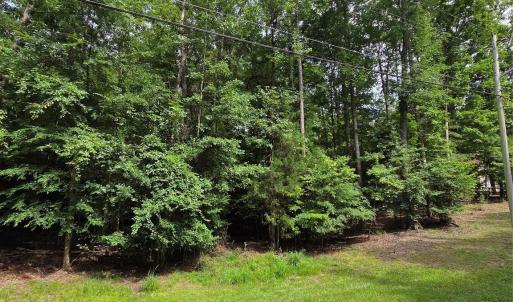 Photo #4 of 242 Creswell, Mount Gilead, NC