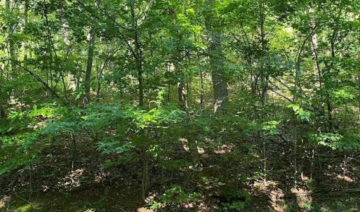 Photo #6 of 173 Stacked Rock, Landrum, SC