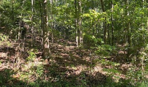 Photo #8 of 173 Stacked Rock, Landrum, SC