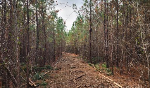 Photo #18 of 2351 Reges Store, Nashville, NC