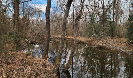 Photo #41 of 2351 Reges Store, Nashville, NC