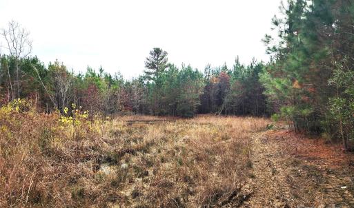 Photo #15 of 2351 Reges Store, Nashville, NC