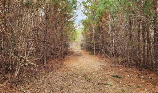 Photo #17 of 2351 Reges Store, Nashville, NC