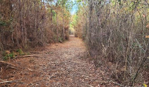 Photo #30 of 2351 Reges Store, Nashville, NC