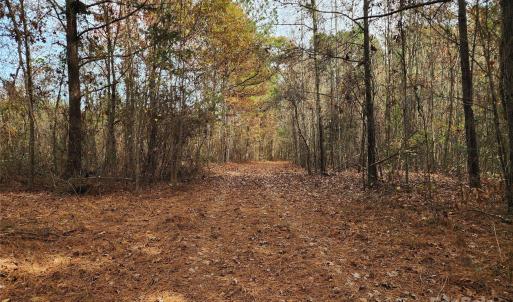 Photo #25 of 2351 Reges Store, Nashville, NC