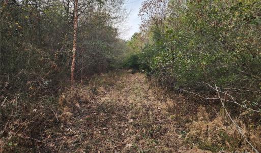 Photo #19 of 2351 Reges Store, Nashville, NC