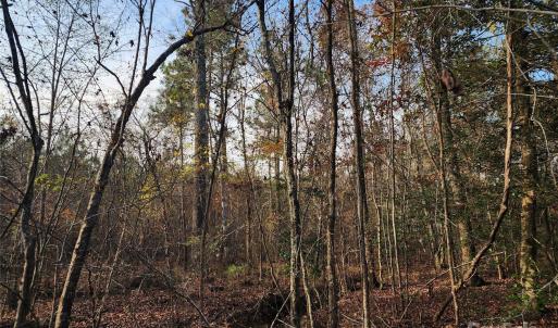 Photo #31 of 2351 Reges Store, Nashville, NC