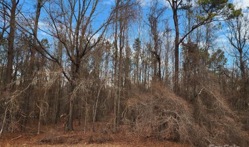 Photo #37 of 2351 Reges Store, Nashville, NC