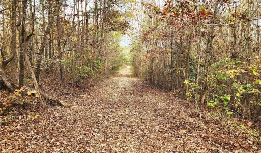 Photo #14 of 2351 Reges Store, Nashville, NC