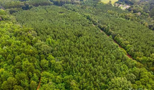 Photo #15 of Vac 16.2 Acres Southbound, Albemarle, NC