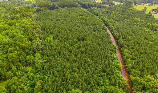 Photo #4 of Vac 16.2 Acres Southbound, Albemarle, NC