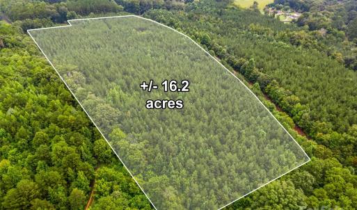 Photo #3 of Vac 16.2 Acres Southbound, Albemarle, NC