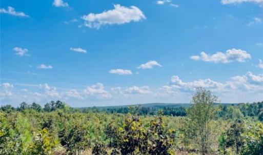 Photo #19 of 27.5 ac Tract Gun O Field, Wallace, SC