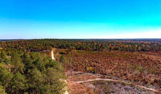 Photo #2 of 27.5 ac Tract Gun O Field, Wallace, SC