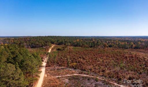 Photo #6 of 27.5 ac Tract Gun O Field, Wallace, SC