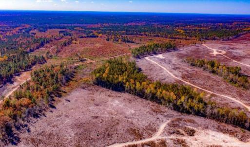 Photo #10 of 27.5 ac Tract Gun O Field, Wallace, SC