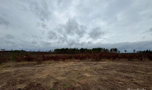 Photo #14 of 27.5 ac Tract Gun O Field, Wallace, SC