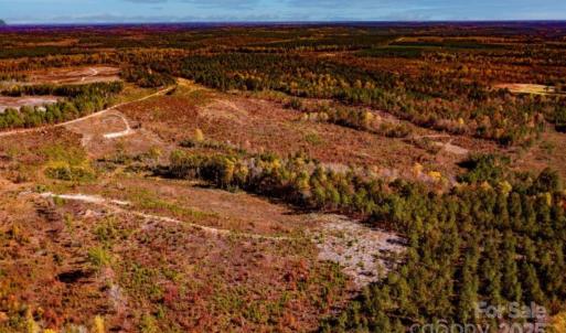Photo #8 of 27.5 ac Tract Gun O Field, Wallace, SC