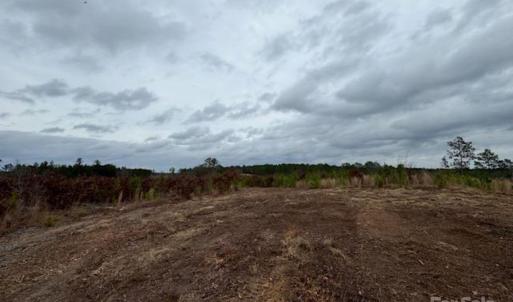 Photo #13 of 27.5 ac Tract Gun O Field, Wallace, SC