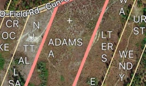 Photo #3 of 27.5 ac Tract Gun O Field, Wallace, SC