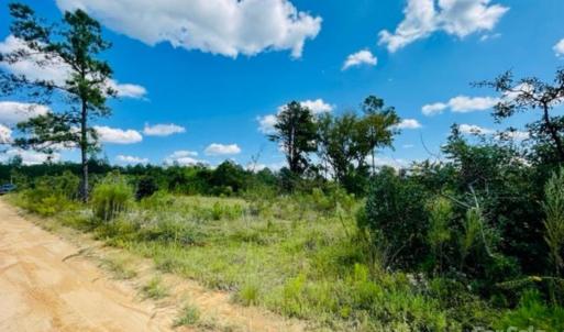Photo #17 of 27.5 ac Tract Gun O Field, Wallace, SC