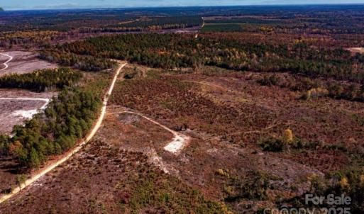 Photo #7 of 27.5 ac Tract Gun O Field, Wallace, SC