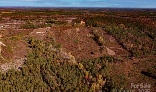 Photo #9 of 27.5 ac Tract Gun O Field, Wallace, SC