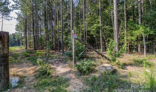 Photo #13 of Shaw, Waxhaw, NC