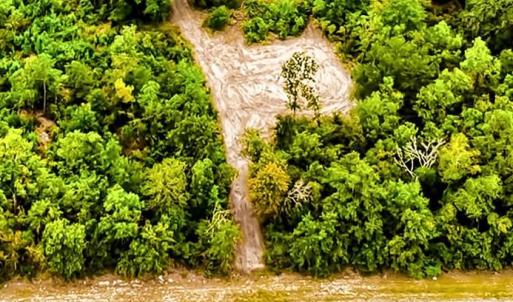 Photo #1 of 1210 Neds Creek, Kershaw, SC
