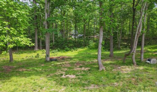 Photo #19 of 10420 Silver Mine, Indian Land, SC