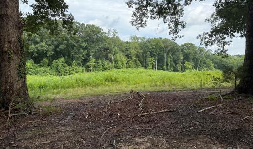 Photo #17 of Henry Harris, Fort Mill, SC