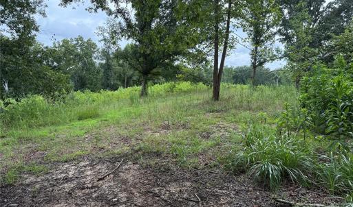 Photo #16 of Henry Harris, Fort Mill, SC