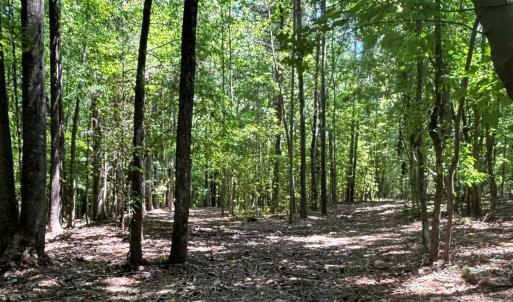 Photo #3 of 4712 Bigham, Waxhaw, NC
