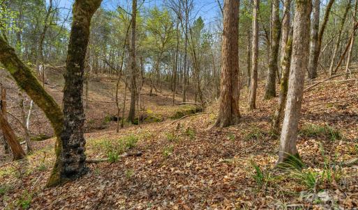 Photo #33 of Green, Lancaster, SC
