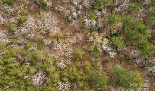 Photo #17 of Green, Lancaster, SC